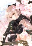  ahoge ass bangs barefoot black_legwear black_scarf blonde_hair blue_sky blurry cherry_blossoms cloud day depth_of_field eyebrows_visible_through_hair fate_(series) flower hair_ribbon half_updo hand_on_own_knee highres in_tree iroha_(shiki) japanese_clothes kimono knee_up koha-ace looking_at_viewer obi okita_souji_(fate) okita_souji_(fate)_(all) outdoors petals ribbon sash scarf short_hair short_kimono sitting sitting_in_tree sky sleeveless sleeveless_kimono smile solo sunlight thighhighs toeless_legwear tree tree_branch vambraces yellow_eyes 