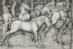  1534 ancient_furry_art animal_genitalia animal_penis anus balls butt cum cumshot ejaculation equine equine_penis female feral flared_penis forest grass greyscale group half-erect hans_baldung_grien hi_res hooves horse kick male male/female mammal masturbation monochrome nude on_hind_legs open_mouth orgasm outside penis proper_art public_domain raised_tail rejection renaissance signature standing teeth traditional_media_(artwork) tree underhoof woodcut 