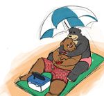  2017 anthro beach bear beard black_fur brown_fur clothing duo facial_hair fur hashburrowns hug hugging_from_behind lazycookieburr looking_back male mammal one_eye_closed open_mouth outside seaside shorts simple_background sitting slightly_chubby smile swimming_trunks swimsuit tan_fur teeth towel umbrella video_games white_background wink 