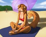  2017 anthro ball barefoot beach beach_ball bikini breasts canine claws clothing cloud dog eyes_closed female fur hair mammal outside pawpads paws red_hair rydenan sand seaside sitting sky smile solo swimsuit toe_claws toes towel umbrella water wolf 