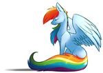  alphaaquilae blue_feathers digital_media_(artwork) equine feathered_wings feathers female feral friendship_is_magic mammal my_little_pony pegasus rainbow_dash_(mlp) simple_background sitting solo white_background wings 