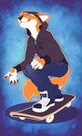  2017 5_fingers abstract_background anthro blue_eyes brown_nose canine claws clothed clothing crouching digital_media_(artwork) drawstring footwear fox full_portrait fully_clothed fur furgonomics hoodie jacket jeans kyander male mammal orange_fur outline pants shoes simple_background skateboard skateboarding smile sneakers solo white_fur 