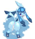  glaceon nintendo pokemon tagme 