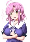  :d ahoge bangs blush breasts brown_eyes collarbone commentary_request crossed_arms eyebrows_visible_through_hair gakkou_gurashi! highres large_breasts looking_at_viewer nori_tamago open_mouth parted_bangs pink_hair puffy_short_sleeves puffy_sleeves sakura_megumi short_hair short_sleeves simple_background smile solo tareme taut_clothes translation_request upper_body white_background 