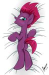  dakimakura_design equine fizzlepop_berrytwist friendship_is_magic horn horse mammal my_little_pony pony tempest_shadow viejillox64art 