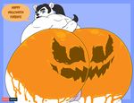  bear butt cassie_the_halloween-pumpkin_butt_polar_bear food fruit graybluestudios looking_at_viewer looking_back mammal nude obese overweight polar polar_bear pumpkin pussy solo 