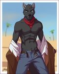  2017 abs anthro athletic belt biceps black_fur black_hair black_nose blue_eyes blurred_background canine clothed clothing day desert eyebrows feralise fur hair handkerchief jeans looking_at_viewer male mammal muscular muscular_male pants pecs scarf smile smirk solo standing sunshine topless undressing wolf 