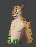  anthro badge cheetah clothed clothing digital_media_(artwork) feline furiia male mammal smile solo topless wolfpsalm 