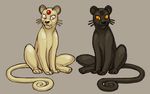  alternate_color cubi duo feline feral mammal melanism nintendo persian pok&eacute;mon pok&eacute;mon_(species) rubber video_games 