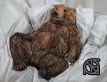  anthro balls bear bed black_nose brown_fur claws cosmiclife digital_media_(artwork) feet feral fur hi_res hindpaw looking_at_viewer lying male mammal on_back pawpads paws pinup pose realistic semi-anthro solo spread_legs spreading toes 