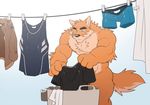  2017 abs anthro biceps big_muscles black_nose blue_eyes boxers_(clothing) brown_fur canine chest_tuft clothing digital_media_(artwork) dog duo fur jacket laundry male mammal muscular muscular_male nude otake pecs shirt simple_background solo standing takemoto_arashi tan_fur tank_top triceps tuft underwear 
