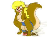  amy_squirrel anthro anus black_eyes blonde_hair breasts brown_fur clothing crouching digital_media_(artwork) feces female fur hair hi_res mammal nastysashy_(artist) pooping pussy rodent sabrina_online scat smile solo squirrel teeth tongue tongue_out 