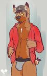  2017 anthro bulge canine clothing digital_media_(artwork) fur hair hat hi_res jacket jockstrap male mammal penis_outline simple_background smile solo underwear vinylwolf vinylwolf_(character) 