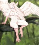  2017 avian breasts cheezayballz claws feathers female hair harpy lips long_hair looking_at_viewer navel nipples nude pink_eyes pink_hair pink_skin sitting solo talons tree wings 