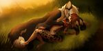  2017 anthro blue_eyes breasts brown_hair canine digital_media_(artwork) duo feline female forest grass hair hug knot lying lynx magenta7 male mammal nightdancer_(character) outside paws penis smile tree wolf zaire_(nightdancer) 