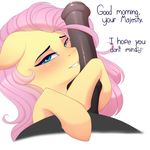  2017 absurd_res animal_genitalia animal_penis bedroom_eyes blue_eyes blush dialogue duo english_text equine equine_penis erection evehly female fluttershy_(mlp) friendship_is_magic hair half-closed_eyes hi_res looking_at_viewer male mammal my_little_pony penis pink_hair seductive simple_background smile solo_focus text white_background 