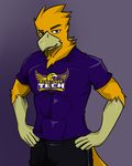  anthro arrwulf avian awesome_eagle clothing feathers looking_at_viewer male mascot orange_feathers purple_eyes shirt solo 