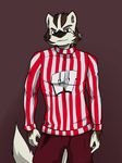  anthro arrwulf badger basketball black_fur bucky_badger football_(disambiguation) fur hi_res looking_at_viewer male mammal mascot mustelid striped_fur striped_shirt stripes white_fur 