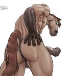  2016 5_fingers abs anatomically_correct anatomically_correct_penis animal_genitalia animal_penis anthro anus backsack balls biceps biped brown_anus brown_balls brown_body brown_hair brown_nipples brown_penis brown_tail butt butt_focus digital_drawing_(artwork) digital_media_(artwork) dock equine equine_penis flared_penis frown gloves_(marking) hair half-erect hand_on_butt horse humanoid_hands japanese kemono long_mouth looking_at_viewer looking_back looking_down low-angle_view male mammal markings mottled_penis muscular muscular_male namecat nipples nude pecs penis perineum portrait quads rear_view simple_background solo standing three-quarter_portrait vein veiny_muscles veiny_penis white_background 