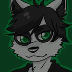  animated bear black_hair black_shirt cute fluffy fur gif_image glowing glowing_eyes green_eyes hair headshot_portrait looking_at_viewer luuka mammal panda portrait profile_picture smile smirk waker608 