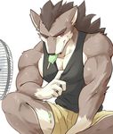  2017 anthro biceps big_muscles brown_eyes brown_fur brown_hair canine chung0_0 clothed clothing collarbone food front_view fully_clothed fur gloves_(marking) hair kemono male mammal markings mechanical_fan muscular muscular_male pecs shirt shorts simple_background sitting sweat tank_top white_background wolf 