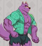 2017 abs anthro belt bernard_(ok_k.o.!_lbh) biceps big_muscles brown_nose bulge canine cartoon_network chest_tuft clothed clothing deep_navel digital_media_(artwork) fangs fur hi_res istani looking_at_viewer male mammal muscular muscular_male navel ok_k.o.!_let&#039;s_be_heroes open_shirt pecs purple_fur shirt shorts smile solo standing teeth torn_clothing tuft were werewolf wolf 
