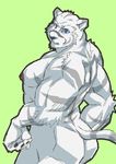  2017 absurd_res anthro biceps blue_eyes feline fur grimoire_of_zero hi_res kemono male mammal mercenary_(character) muscular muscular_male nipples nude pecs raozone solo stripes tiger white_fur white_tiger 