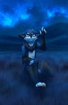  2017 5_fingers anthro black_fur blue_fur canine digital_media_(artwork) fox fur grass male mammal nayel-ie night orange_eyes outside sitting sky solo star starry_sky 