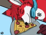  canine food fox love mammal pizza shoki weon23 