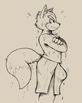  bulge canine crossed_arms daftpatriot dipstick_tail fox fox_mccloud invalid_tag male mammal monochrome multicolored_tail nintendo smile solo star_fox towel video_games wet 
