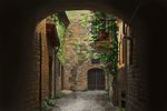  brick_wall commentary_request day gate highres house ivy izna_(iznatic) no_humans original outdoors plant potted_plant scenery village 
