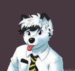  arctic_fox canine chaoschaocrack chip fox male mammal necktie solo tongue tongue_out 