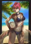  antanariva anthro ball beach bikini blue_eyes chest_tuft clothed clothing female hair looking_at_viewer mammal mustelid navel otter outside palm_tree pink_hair plant seaside sky solo standing swimsuit tree tuft volleyball_(ball) 