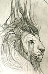  feline fur hair headshot_portrait jademere lion male mammal portrait sketch solo traditional_media_(artwork) 
