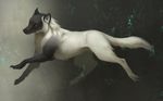  ambiguous_gender black_nose canine digital_media_(artwork) dog feral fur grey_eyes jademere long_mouth mammal paws solo white_fur 