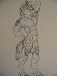  anthro balls canine cbrn_hyena fur looking_at_viewer male mammal muscular nude pencil_(artwork) penis pinup pose smile solo standing traditional_media_(artwork) wolf 