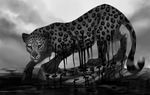  2017 ambiguous_gender digital_media_(artwork) feline feral fur greyscale jademere leopard mammal monochrome no_sclera paws rock solo spots spotted_fur standing whiskers 