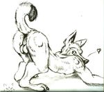  anthro balls butt canine cbrn_hyena fur male mammal nude pencil_(artwork) simple_background solo traditional_media_(artwork) white_background wolf 