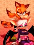  2017 anthro bat clothed clothing female mammal marine_the_raccoon procyonid raccoon rouge_the_bat shadisfaction sonic_(series) watermark 