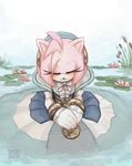  2017 amy_rose anthro clothed clothing female hedgehog iku-t0 mammal nimue_(satbk) solo sonic_(series) sonic_and_the_black_knight 