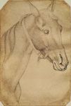  1438 15th_century ambiguous_gender anatomy ancient_furry_art bridle bust_portrait equine feral fur hi_res horse mammal pen_(artwork) pisanello portrait proper_art public_domain renaissance simple_background slit_nostrils solo traditional_media_(artwork) vein 