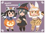  :d alternate_costume alternate_headwear animal_ears bag bandaged_ear bandaged_head bandages basket black_eyes black_gloves black_hair blonde_hair bow bowtie breasts brown_eyes capriccyo chibi claw_pose commentary common_raccoon_(kemono_friends) elbow_gloves extra_ears eyebrows_visible_through_hair fang food fur_collar gloves grey_hair hair_between_eyes halloween halloween_costume hat highres jack-o'-lantern japari_bun kaban_(kemono_friends) kemono_friends medium_breasts multicolored_hair multiple_girls open_mouth outline print_gloves print_legwear print_neckwear print_skirt raccoon_ears raccoon_tail serval_(kemono_friends) serval_ears serval_print serval_tail simple_background skirt smile striped_tail tail thighhighs twitter_username v-shaped_eyebrows witch_hat yellow_eyes 