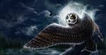  2015 alaiaorax ambiguous_gender avian beak bird detailed_background digital_media_(artwork) feathered_wings feathers moon night no_sclera outside owl sky star starry_sky talons wings yellow_eyes 