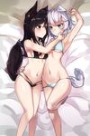  animal_ears bed_sheet bikini black_bikini black_hair blue_bikini blue_eyes breasts cleavage commentary_request highres long_hair looking_at_another lying multiple_girls natori_youkai navel original red_eyes short_hair silver_hair small_breasts swimsuit tail wolf_ears wolf_tail yuri 