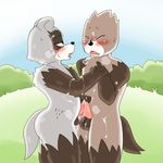  2017 anthro balls black_eyes black_nose blush brown_fur cum cum_on_face cum_on_penis cum_on_stomach duo fur grass grey_fur male male/male mammal open_mouth outside penis pink_penis standing tanuki tongue tongue_out げきしろ 