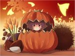  absurdres blush brown_eyes cattail chestnut closed_mouth eyebrows_visible_through_hair highres looking_at_viewer plant pumpkin purple_hair short_hair solo tatuhiro touhou yasaka_kanako younger 