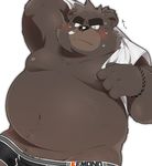  2017 anthro bear belly blush brown_fur clothing fur hinami hinami0506 male mammal moobs overweight overweight_male shirt simple_background solo underwear white_background 