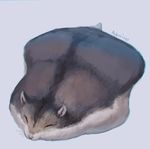  animal_focus closed_eyes commentary_request flattened full_body grey_background hamster lying manino_(mofuritaionaka) no_humans on_stomach original signature simple_background sleeping solo 