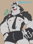  2017 abs anthro biceps black_nose bulge canine chest_tuft clothed clothing clothing_lift dog fur hi_res husky male mammal muscular muscular_male nipples oleola123 pecs pink_nipples shirt shirt_lift shorts solo teeth tuft 
