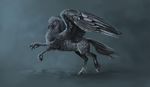  avian beak black_beak blue_eyes claws digital_media_(artwork) feathered_wings feathers grey_feathers hippogryph hooves simple_background wings x-celebril-x 